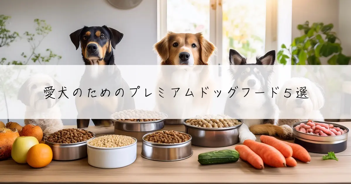 愛犬のためのプレミアムドッグフード5選